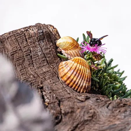 House Anabella Case de vacanță Veglia