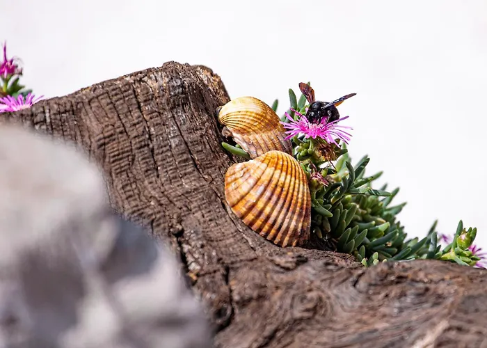 House Anabella Case de vacanță Veglia